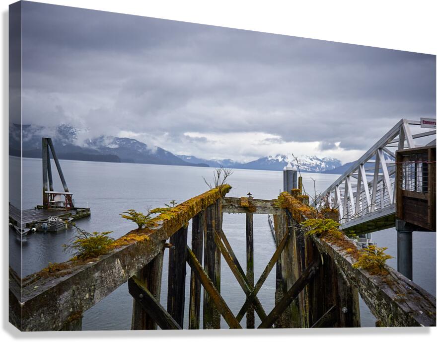 Abandoned Dock Remains Canvas Print