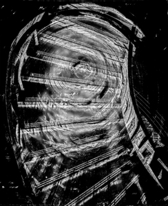 Contours of the Psyche