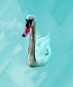 Serenity in Turquoise