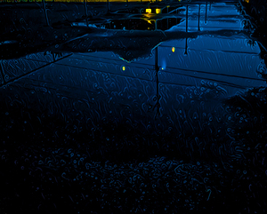 A Journey Through the Night