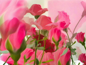 Blushing Love: A Bouquet of Pink and Red Roses