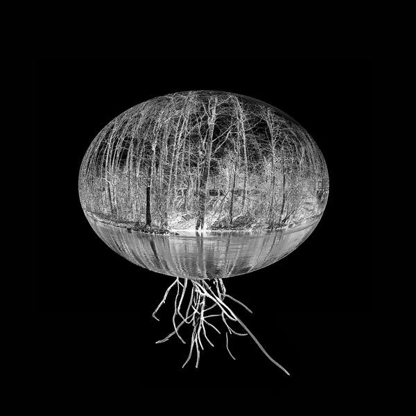 Entangled Existence Imprimer