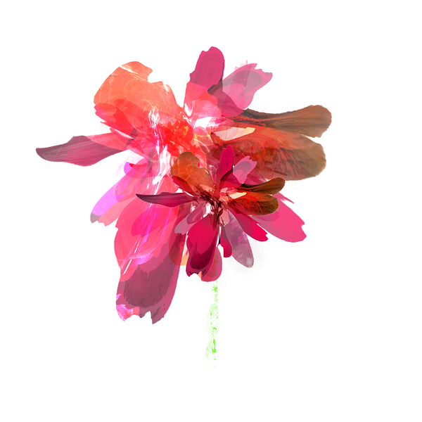 Whispering Color by Le Boulanger