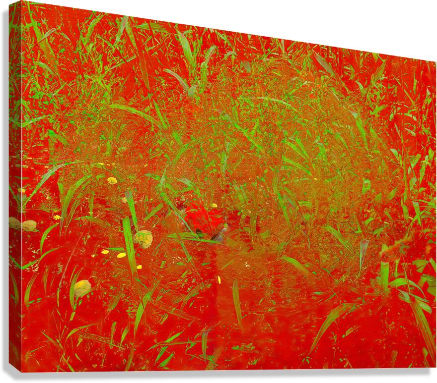 Red Canvas Print