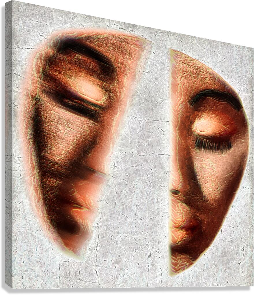 Duality Unveiled Canvas Print