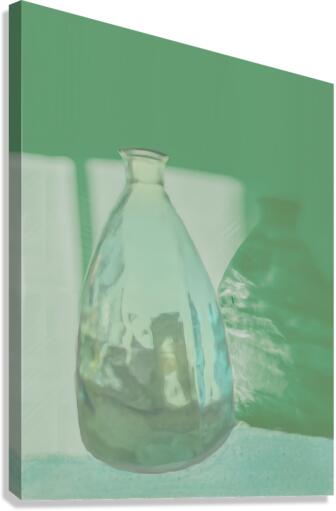 Reflection Canvas Print