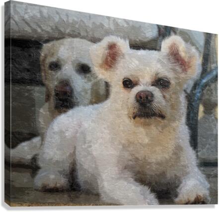 Amitie Canvas Print