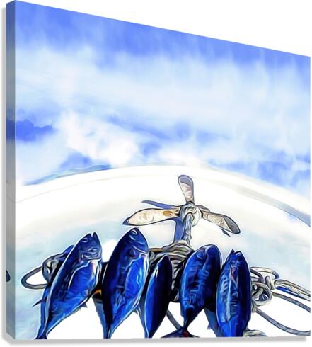 The Last Catch Canvas Print