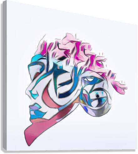 The face Canvas Print