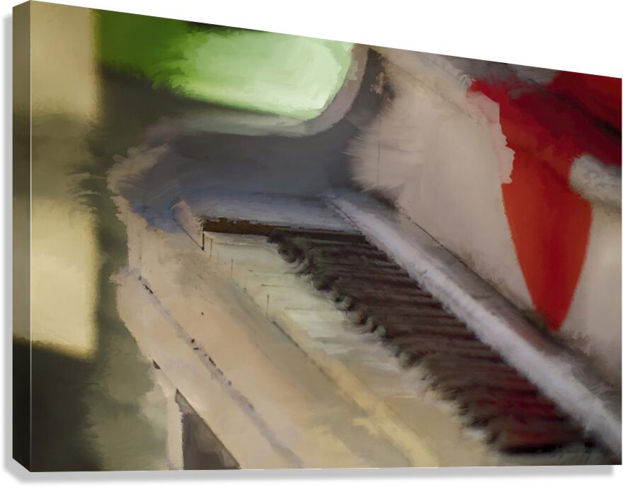 Harmony in Motion Canvas Print