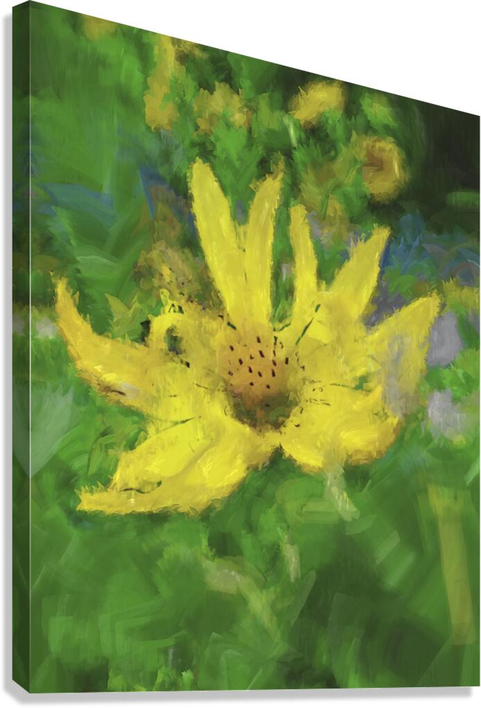 Vibrance Unfolding Canvas Print