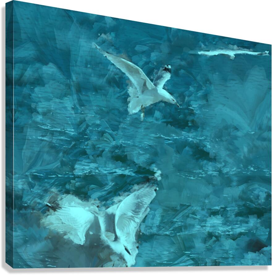 Azure Soar Canvas Print