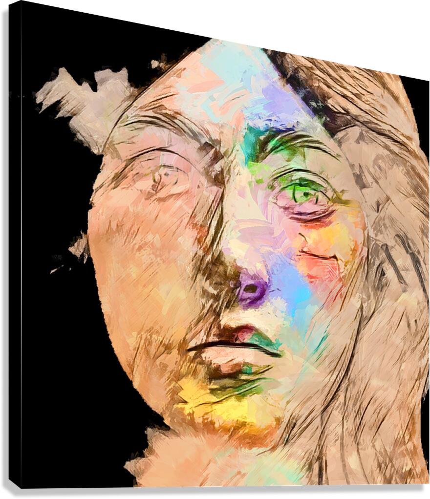 Silhouette of Softness Canvas Print