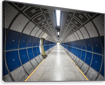 Hallway  Canvas Print