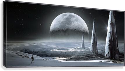 Fantasy 2021 Canvas Print