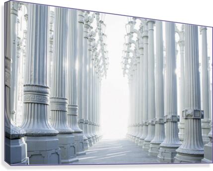 Very nice Columns  Canvas Print