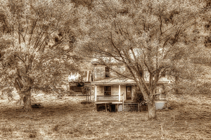 Memories behind the trees