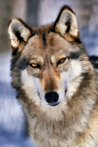 Look me in eyes and say that