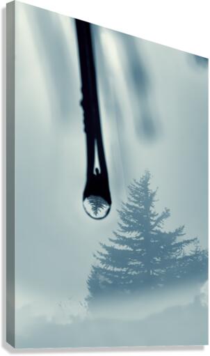 Water drop with tree reflection Canvas Print