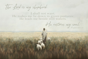 Return to the fold  Psalm 23:1-3