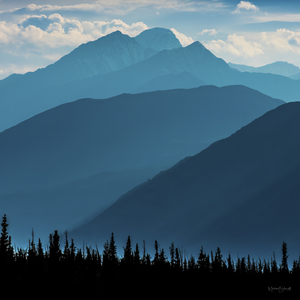 Kluane Hues - MSP21162 