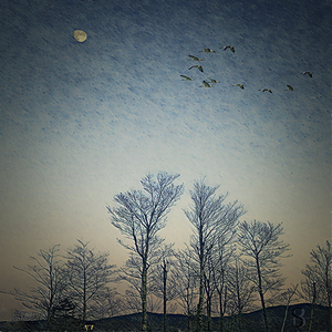 0039 View From Bier Garten In Winter