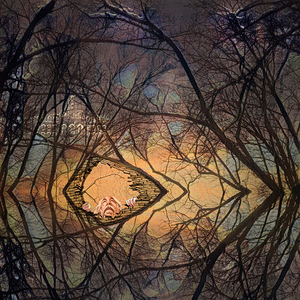 0637 Finding My Way Back Home