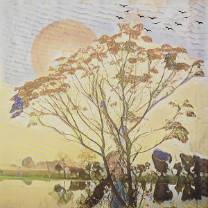 0651 Hiding In Plain Sight