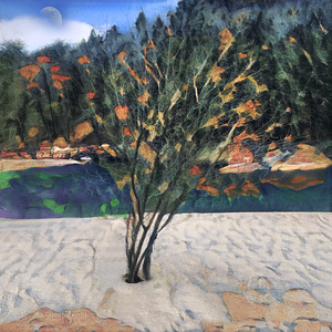 0794 Beach Tree