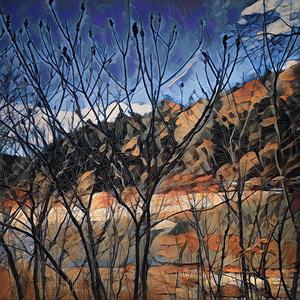 0798 Mad River Through The Branches