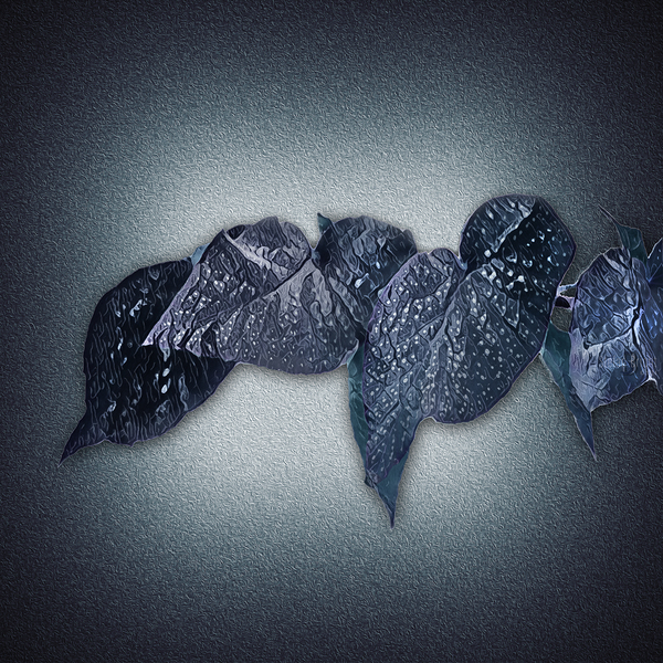 0803 Meditation In Winter Blues Print