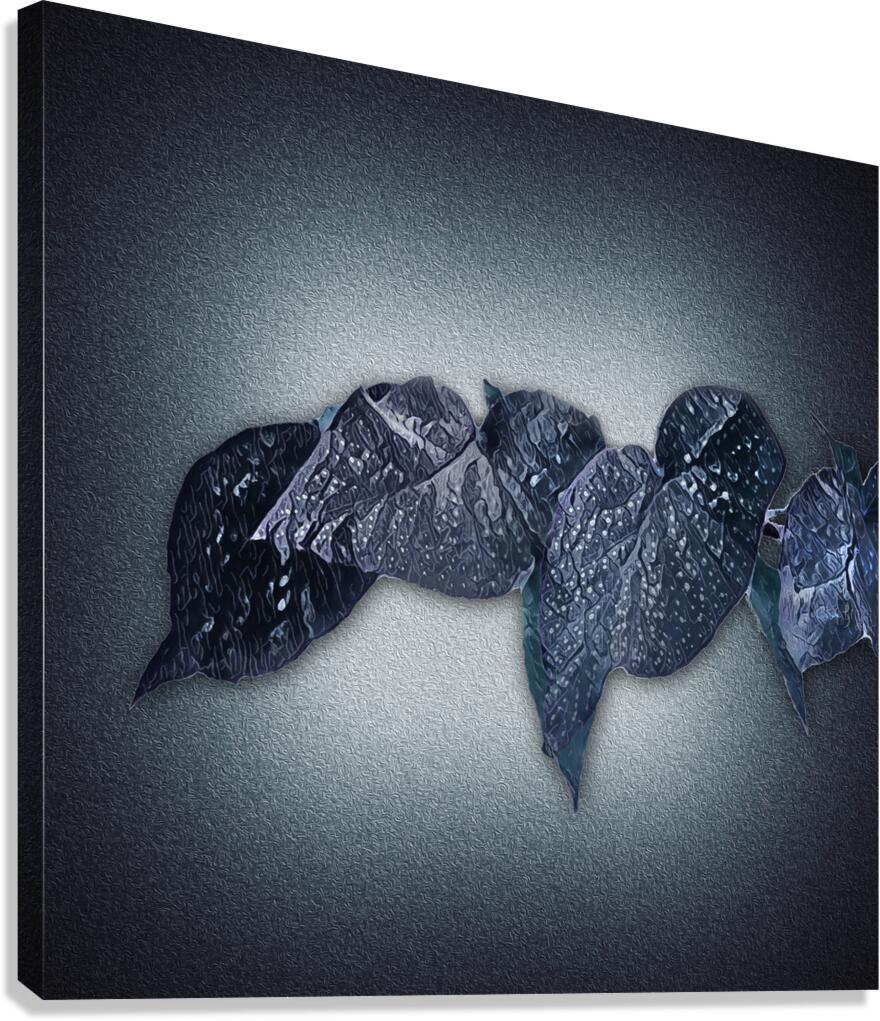 0803 Meditation In Winter Blues Canvas Print