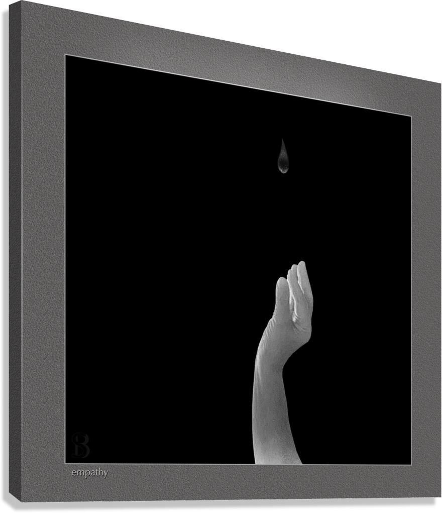 0838 Empathy Canvas Print