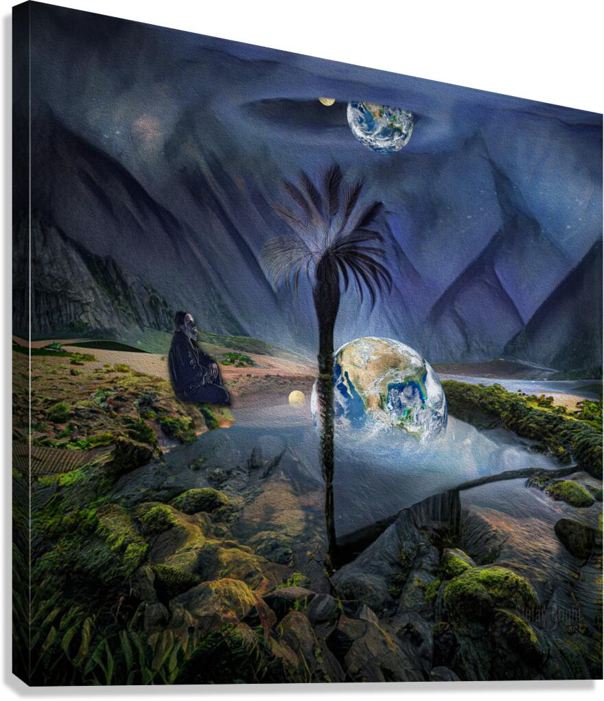 0907 Non Linear Reflection Canvas Print