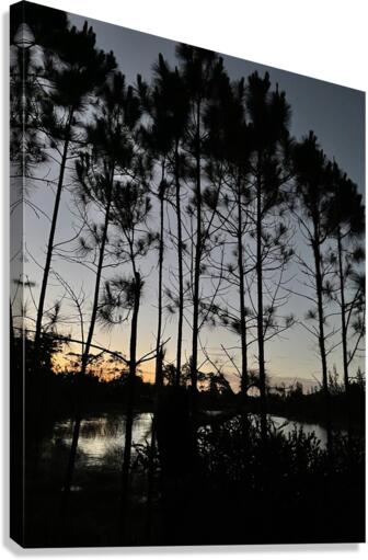 IMG 2669 Canvas Print