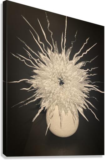 IMG 4032 Canvas Print