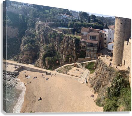 Its a Castle  Canvas Print