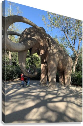 Mammoths  Canvas Print
