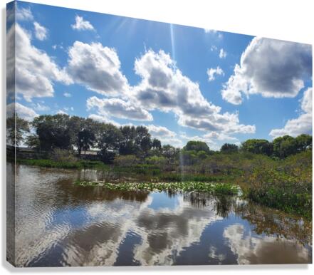 You Are A Reflection Canvas Print