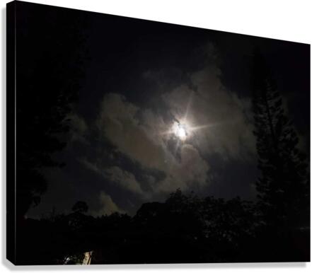 Aligning Moonlight  Canvas Print