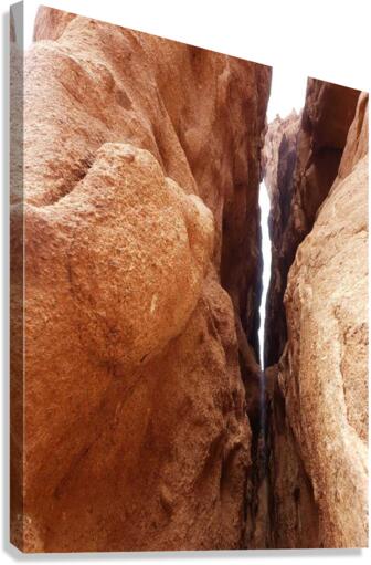 Look Deeper Canvas Print