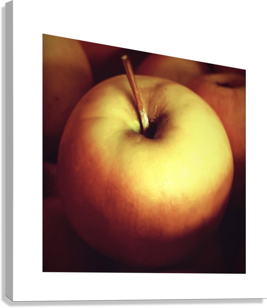 Gold Apple Canvas Print