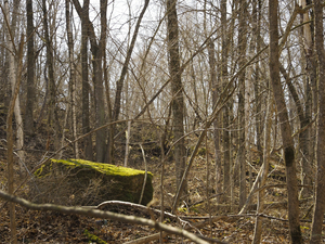 Mossy Rock of Witoka