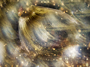 Glass Chicken 4 of 4