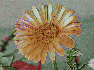 Patchwork Daisy Collection 4 of 11