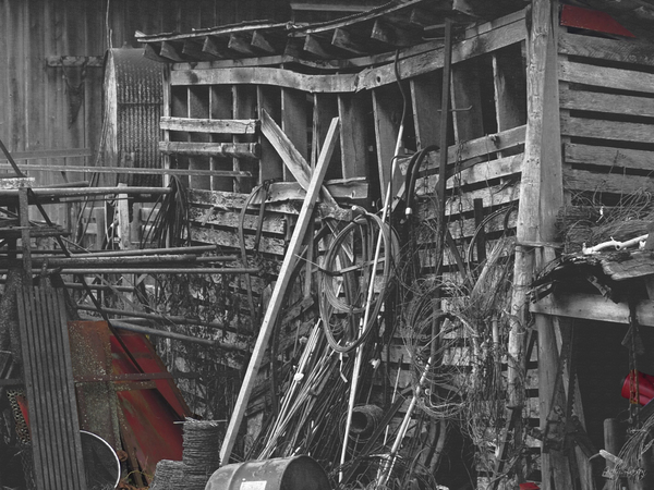 The Shed Print