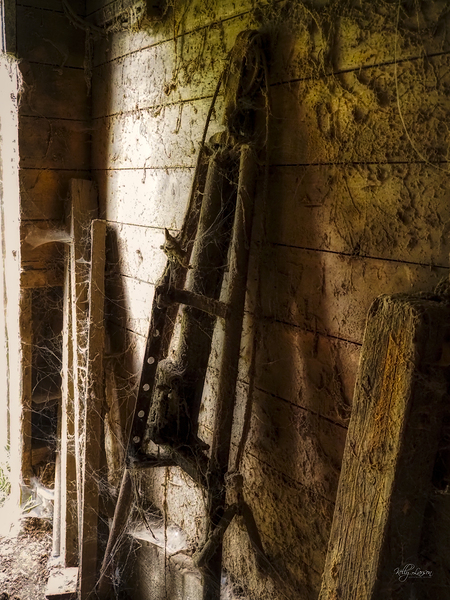 Webs and Parts Print