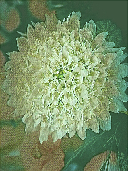Mum 3 of 5 by Kelly S Larson