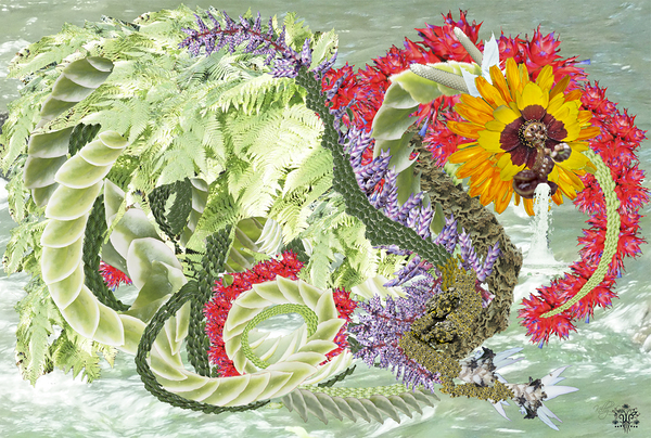 Nature Dragon Print