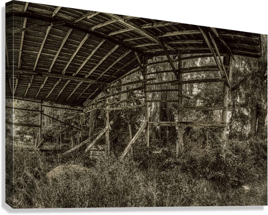 Lean-to II Canvas Print